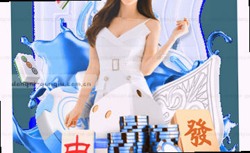 反馈与支持